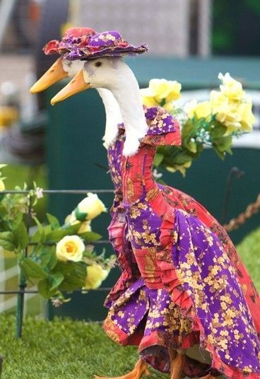 ducks_on_dress_03