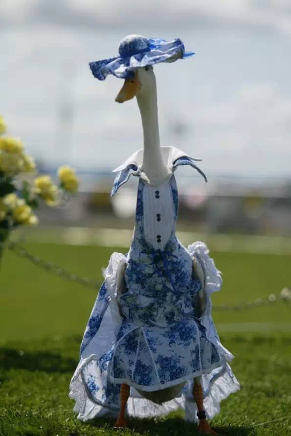 ducks_on_dress_08