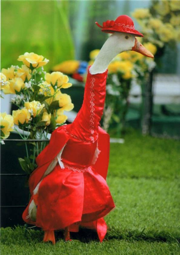 ducks_on_dress_12