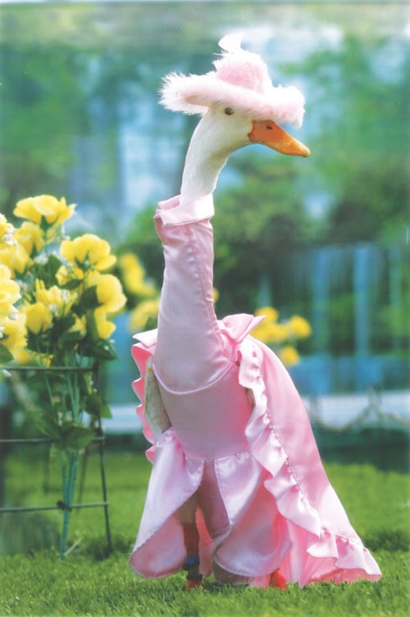 ducks_on_dress_13