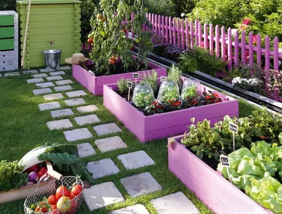 how-to-grow-vegetables-more-beautiful-than-the-garden-07