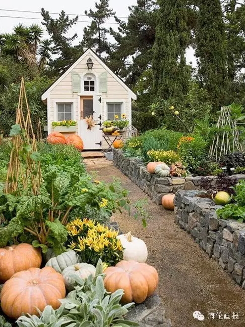 how-to-grow-vegetables-more-beautiful-than-the-garden-20