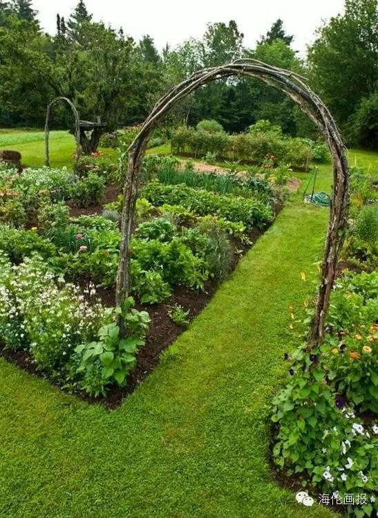 how-to-grow-vegetables-more-beautiful-than-the-garden-24