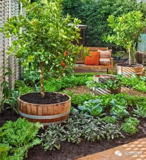 how-to-grow-vegetables-more-beautiful-than-the-garden-27