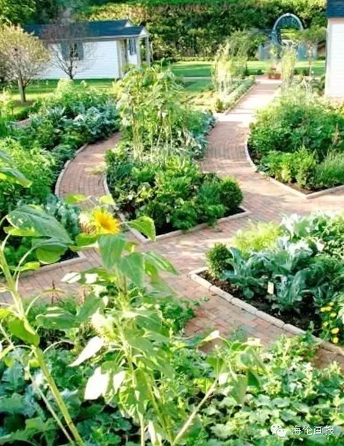 how-to-grow-vegetables-more-beautiful-than-the-garden-28