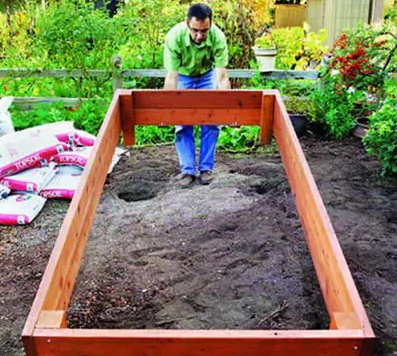 how-to-grow-vegetables-more-beautiful-than-the-garden-31