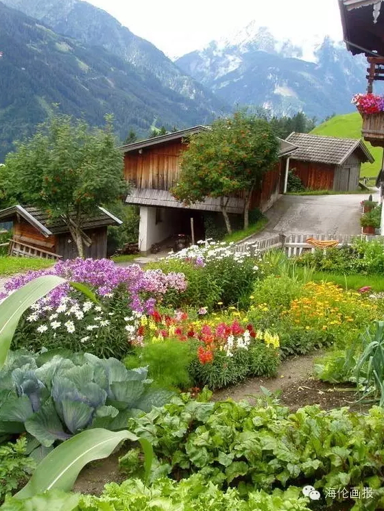 how-to-grow-vegetables-more-beautiful-than-the-garden-37