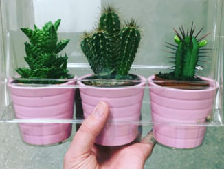 ikea-has-fresh-cute-little-cactus-gadgets-00