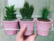 ikea-has-fresh-cute-little-cactus-gadgets-00