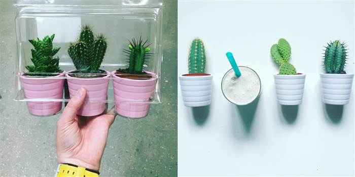 ikea-has-fresh-cute-little-cactus-gadgets-01