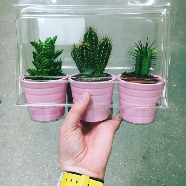 ikea-has-fresh-cute-little-cactus-gadgets-04