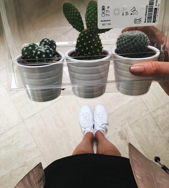 ikea-has-fresh-cute-little-cactus-gadgets-05