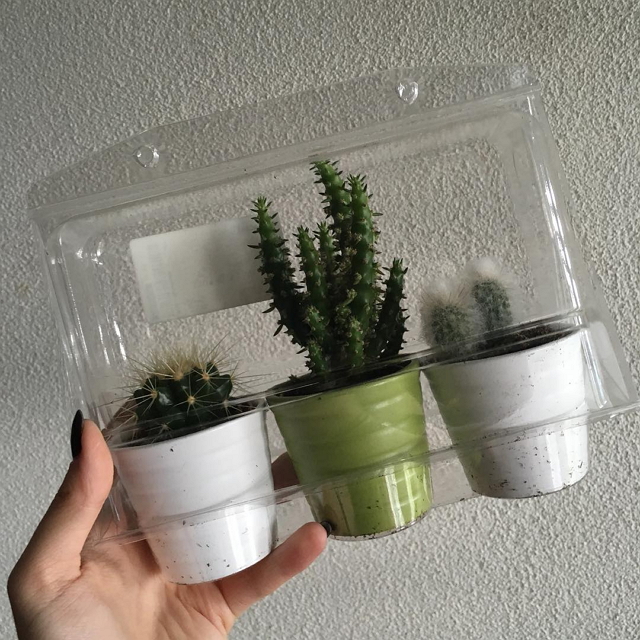 ikea-has-fresh-cute-little-cactus-gadgets-06