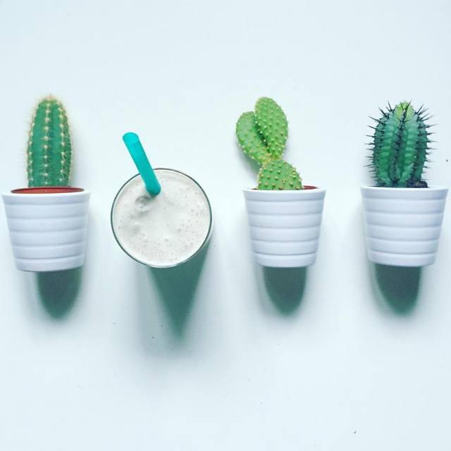 ikea-has-fresh-cute-little-cactus-gadgets-07