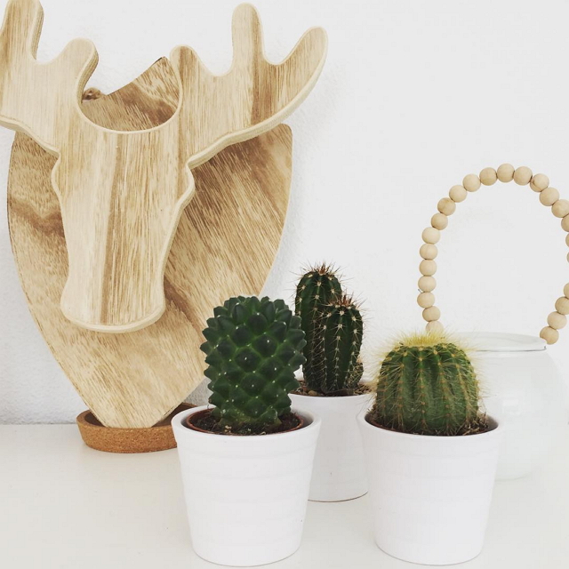 ikea-has-fresh-cute-little-cactus-gadgets-09