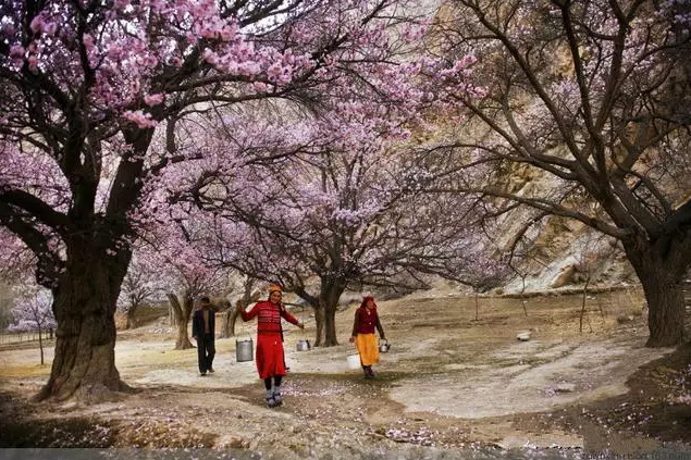 the-world-s-most-beautiful-heng-fa-chuen-02