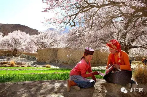 the-world-s-most-beautiful-heng-fa-chuen-45