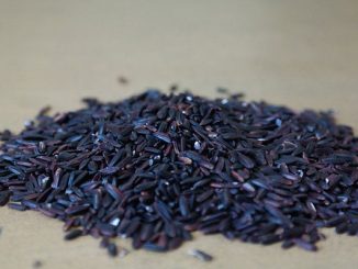 black-rice-high-therapeutic-efficacy-01