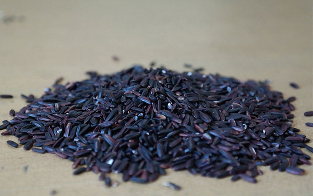 black-rice-high-therapeutic-efficacy-01
