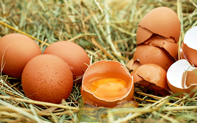 Eating-eggs-can-lose-weight-02