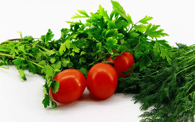 Plant-coriander-on-the-balcony-01