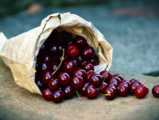 blood-enriching-fruit-cherries-01