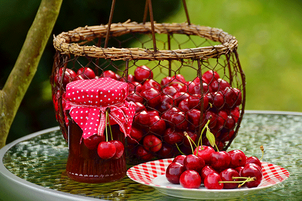 blood-enriching-fruit-cherries-03