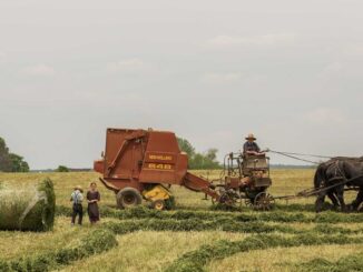 lifestyle-featured-12