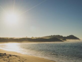 lifestyle-featured-4