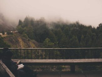 lifestyle-featured-6