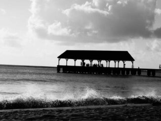 featured-1779333321-5433